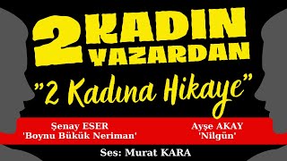 quotBoynu Bükük Nerimanquot quotNilgünquot Türk Edebiyatından Hikayeler  Sesli Kitap Dinle [upl. by Akener]