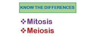 Cell Division Mitosis amp Meiosis [upl. by Ativahs]