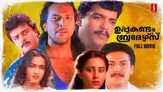 Uppukandam Brothers Malayalam Full Movie  Babu Antony  Jagadeesh  Geetha  T S Suresh Babu [upl. by Drain]