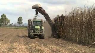 sugar cane harvester in australia [upl. by Ytissahc]