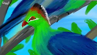 Fischers Turaco 피셔투라코 그리기 [upl. by Wivestad355]