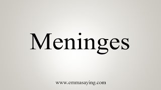 How To Say Meninges [upl. by Sabra]