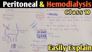 Dialysis  Peritoneal And Hemodialysis  Class 10 Biology [upl. by Ainel]