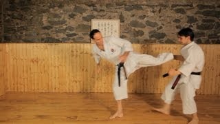 How to Do Side Kicks  Karate Lessons [upl. by Allicerp]