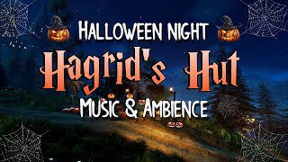 🎃 Halloween Night at Hagrids Hut  Harry Potter Music amp Ambience 🎃 [upl. by Arbba]