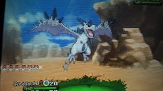 Pokemon XY Aerodactyl Mega Stone Location [upl. by Summer]