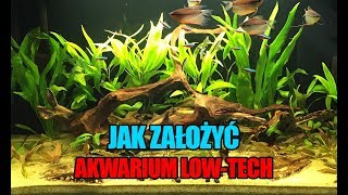 30 Glossy 200  Jak założyć akwarium LowTech [upl. by Nhguaval502]