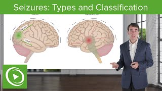 Seizures Types and Classification  Clinical Neurology [upl. by Sewellyn25]