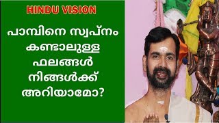 നാഗം കൊത്തുന്നതായി സ്വപ്നം കണ്ടാലുള്ള ഫലം അറിയാമോ  snake in your dream [upl. by Nimar520]