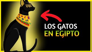 🙀😻 Por qué los EGIPCIOS ADORABAN a los GATOS Significado del gato en el antiguo Egipto [upl. by Malkin428]