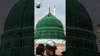 Go to the Dargah of Sallallaho Taala Wasallam and perform Qazrat in Madinah Sharif [upl. by Ahsinan]