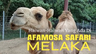 AFamosa Animals Safari Wonderland  Tempat Menarik Untuk di Lawati  Melaka [upl. by Ettelrats]