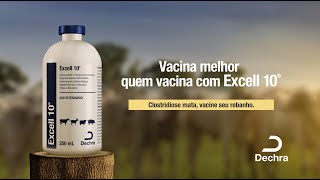 Vacina melhor quem vacina com Excell 10® [upl. by Lalitta928]