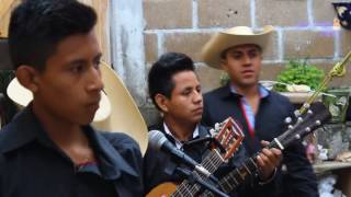 Leonardo Reyes en vivo Los Morros sierreños amenizando la fiesta [upl. by Alhahs]