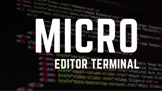 Editor Micro  Quase um VS Code no seu terminal [upl. by Nerwal]