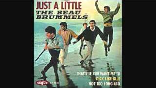 The Beau Brummels  News [upl. by Marcille]