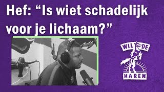 Hef quotIs wiet schadelijk voor je lichaamquot  WHDP [upl. by Sylvester]