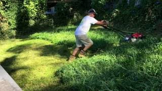 Honda Self Propelled Lawn Mower Cutting Long Grass Pittwater Mowing [upl. by Nalloh944]