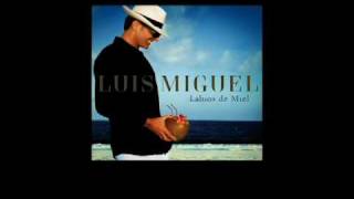 Luis Miguel  Labios de Miel Sencillo Oficial con Letra [upl. by Newby]