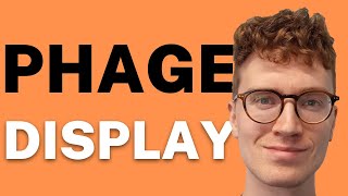 PHAGE DISPLAY EXPLAINED 2 Minutes [upl. by Ylrebma]