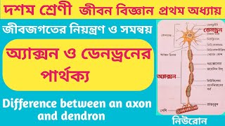 অ্যাক্সন ও ডেনড্রনের পার্থক্য9 টিDifference between an axon and dendron cls10 lifescience chp1 [upl. by Rodrigo132]