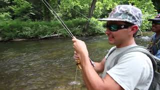 North Georgia Fly Fishing Crazy Dry Fly Bite [upl. by Enetsuj]