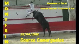 MONTFRINCourse Camarguaise28042018NicollinRaynaudSt Pierre [upl. by Bonnette]