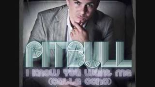 Pitbull  I Know You Want Me  With Lyrics [upl. by Martinez]