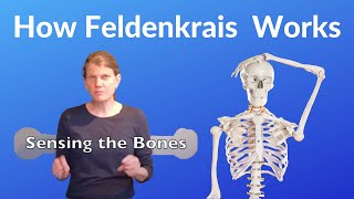 What is Feldenkrais  3 Principles by Annie Thoe [upl. by Timus178]