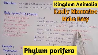 Phylum Porifera Characters And Classification Fully Explain In Hindi Urdu [upl. by Sair]