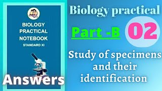 Study of specimens and their identification biology practical class 11 experiment 2 part b answers [upl. by Burnie408]