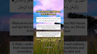 Dua for Anxiety Distress Debt amp Laziness [upl. by Ahsienak]