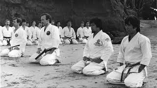 Tino Ceberano Goju Kai Anglesea Camp 1982 [upl. by Dnalon779]