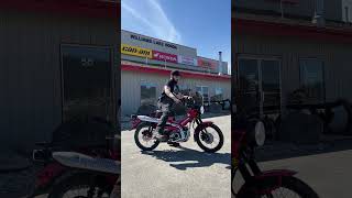 2023 Honda CT 125 Trail Sound Test  What Do YOU Ride [upl. by Gipson]