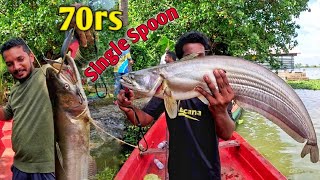 ആദ്യമായി ചൂണ്ടയിൽ കിട്ടിയ കൊമ്പനെ കണ്ടോ💥😳  Traditional Fishing Kerala  wallago attu fishing [upl. by Edmondo]