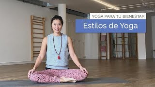 Conoce los distintos Estilos y Tipos de Yoga [upl. by Neved]