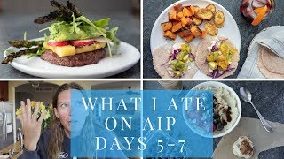 What I Eat in a Day AIP days 57  The importance of having a WHY [upl. by Aihtnys]