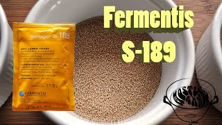 Fermentis S 189 [upl. by Bunns]