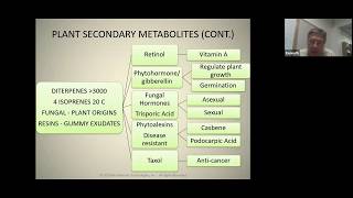 9 Making Plant Metabolites HD [upl. by Jayme553]