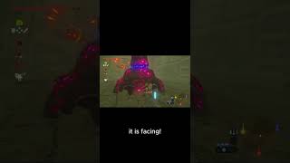 Weird Gaurdian glitch  ZeldaBreath of the wild zelda [upl. by Ayna526]