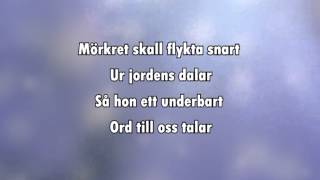 Sankta Lucia Natten går tunga fjät karaoke  lyrics [upl. by Oninrutas]