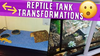 Reacting To YOUR Gecko Tank Makeovers  SUBSCRIBER SHOWCASE [upl. by Hnib477]