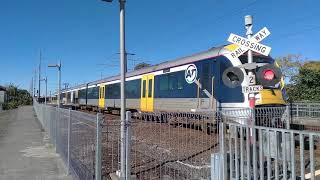 AM Units on Aucklands Western Line [upl. by Pallaton]