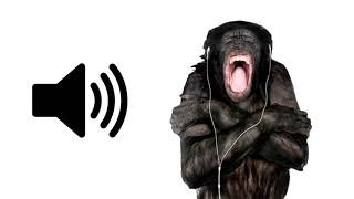 1 HOUR of Monkey Screaming [upl. by Nwadal]