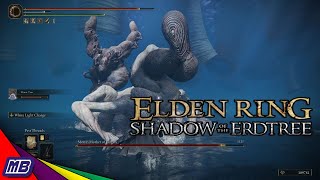 You Can Beat Down Metyr Mother of Fingers Elden Ring Shadow of the Erdtree [upl. by Enrol175]