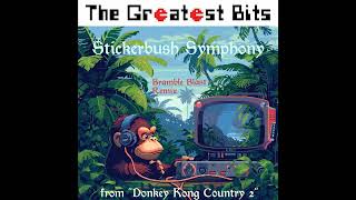 Stickerbush Symphony Bramble Blast SNES Remix  from Donkey Kong Country 2 [upl. by Niela]