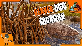 BEAVER DAM LOCATIONS  ARK CRYSTAL ISLES FREE DLC [upl. by Mou]