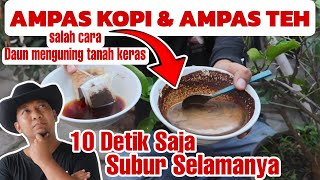 Cara Aman Memupuk dengan Ampas Kopi amp Teh [upl. by Diao]