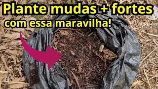 Vale ouro para as plantas Veja como fazer um ótimo adubo orgânico comofazercomposto orgânico [upl. by Sayer]