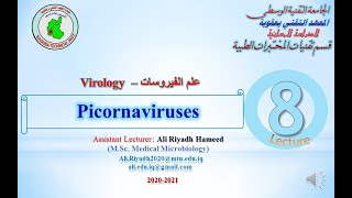 Lect 8 Picornaviruses [upl. by Nelyk]